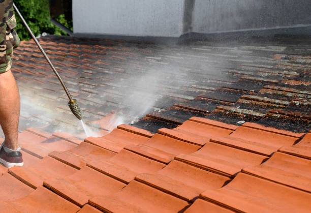 Best Best Pressure Washing Companies  in Taos Pueblo, NM
