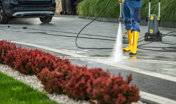 Best Roof Power Washing Services  in Taos Pueblo, NM