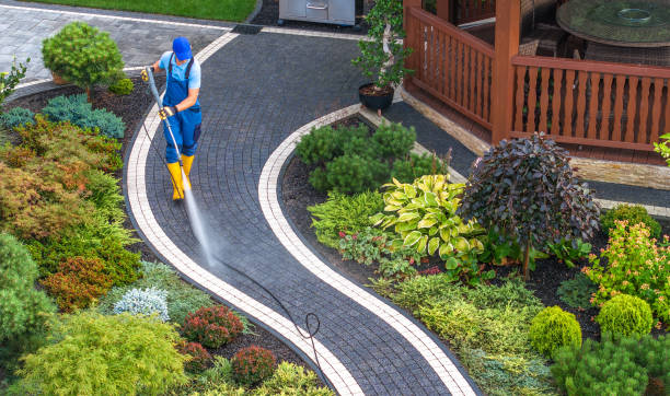 Best Power Washing Near Me  in Taos Pueblo, NM