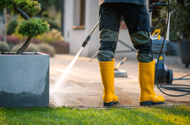 Best Pressure Washing Company Near Me  in Taos Pueblo, NM